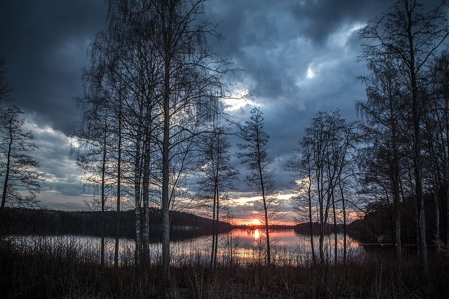 Forest Near Body of Water, blue, clouds, Dark Sky, dawn, dramatic HD wallpaper