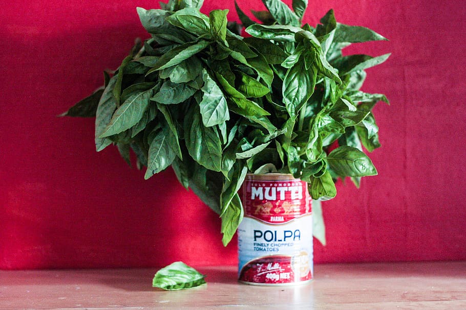 basil, tomatoes, italian, red, italian colors, tinned tomatoes HD wallpaper
