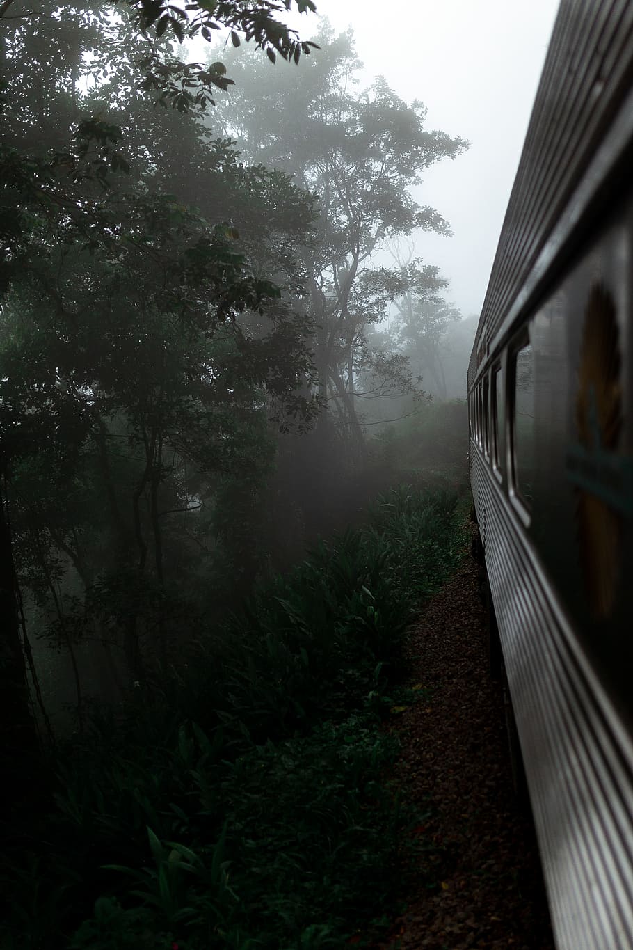 Grey Train Traveling on Foggy Woods, dark, dawn, environment HD wallpaper