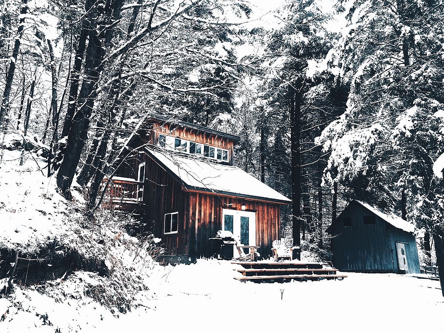 snow, cold, winter, house, home, trees, forest, woods, outdoors HD wallpaper