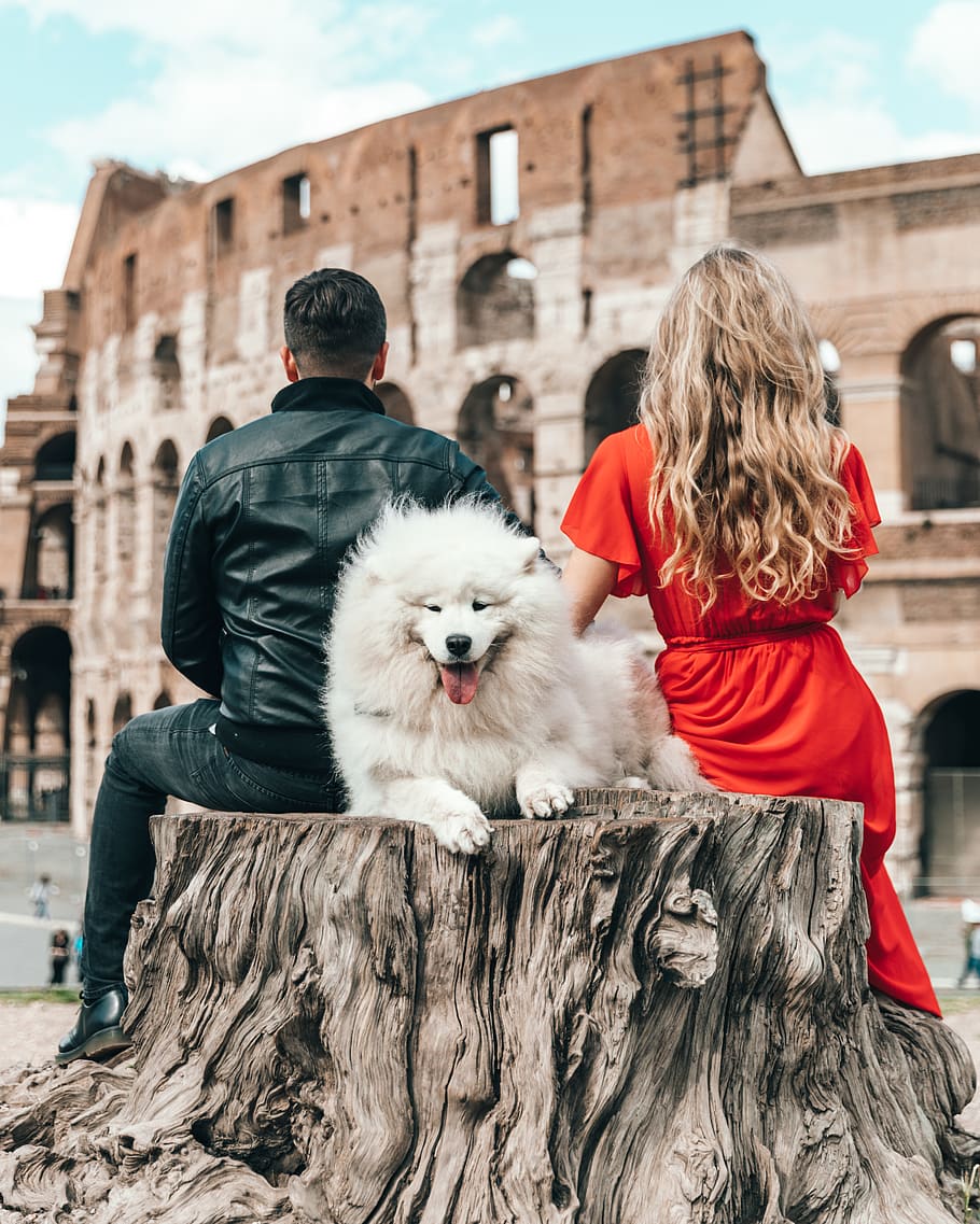 adult white Samoyed beside man and woman, real people, architecture HD wallpaper