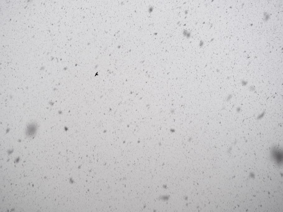 cold temperature, backgrounds, winter, snow, full frame, no people HD wallpaper