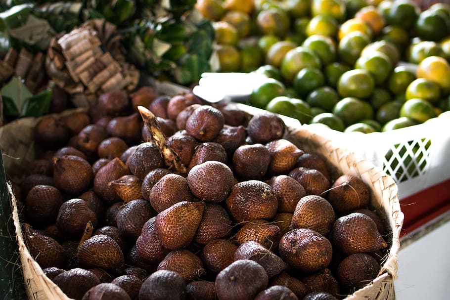 Pile of Brown Fruit With Brown Basket, arecaceae, background