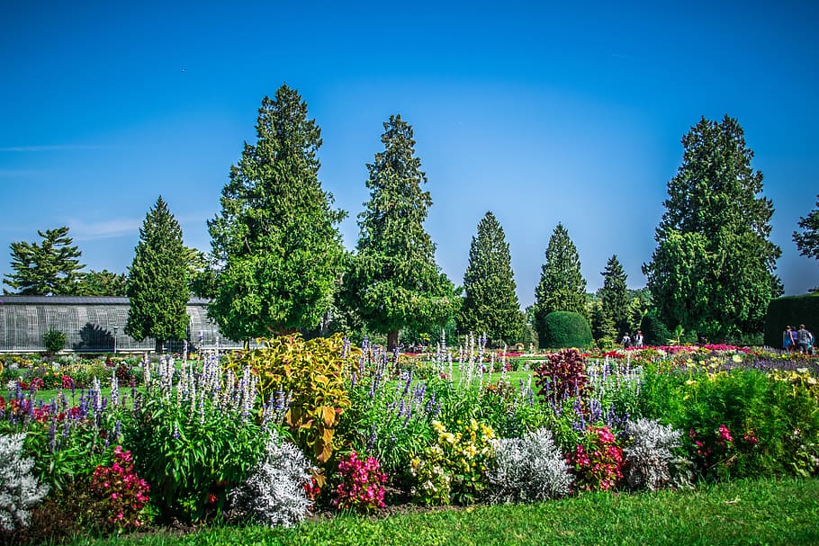 park, castle, architecture, historically, garden, plant, growth HD wallpaper