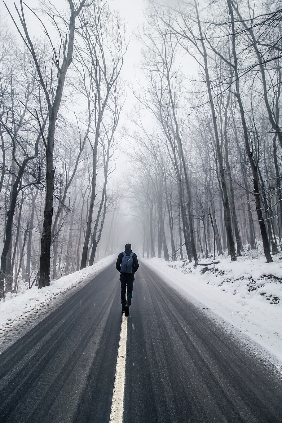 man walking on road between bare trees, transportation, direction HD wallpaper