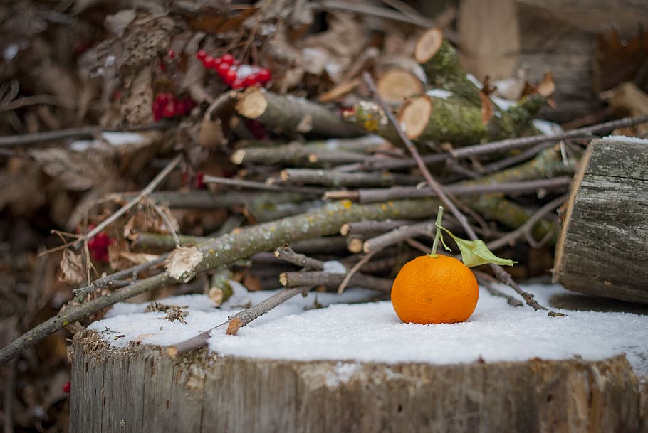 round orange fruit, plant, food, citrus fruit, produce, leaf HD wallpaper
