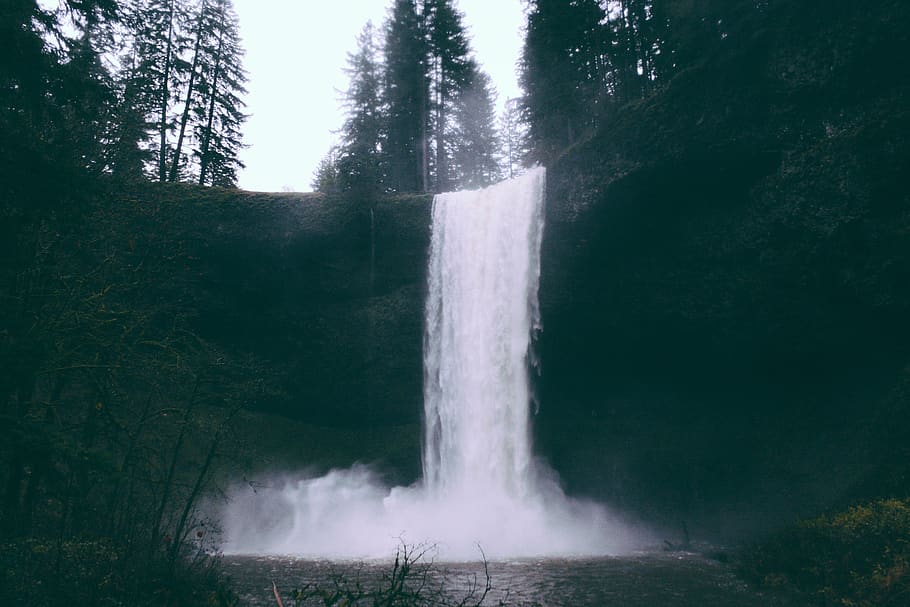 waterfall during daytime, motion, plant, tree, scenics - nature HD wallpaper