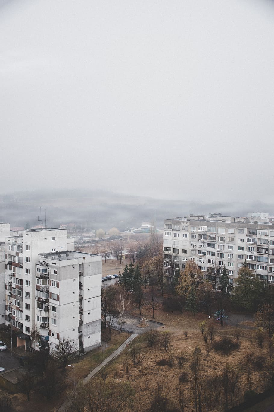 white concrete building, fog, bulgaria, old, mountain, forest HD wallpaper
