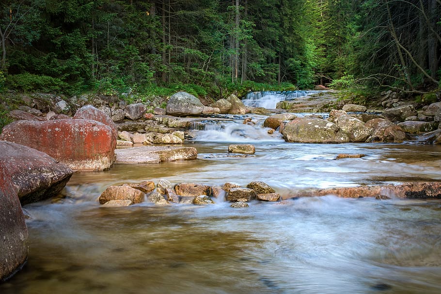 river, cascade, white elbe, waterfall, fluent, creek, green HD wallpaper