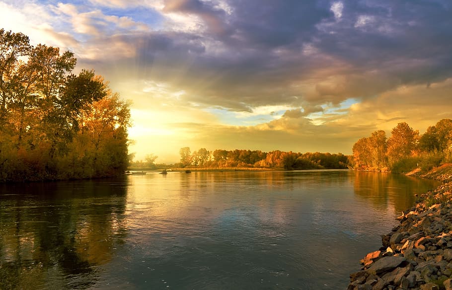 Trees Near Body of Water Under Dark Sky during Daytime, clouds HD wallpaper