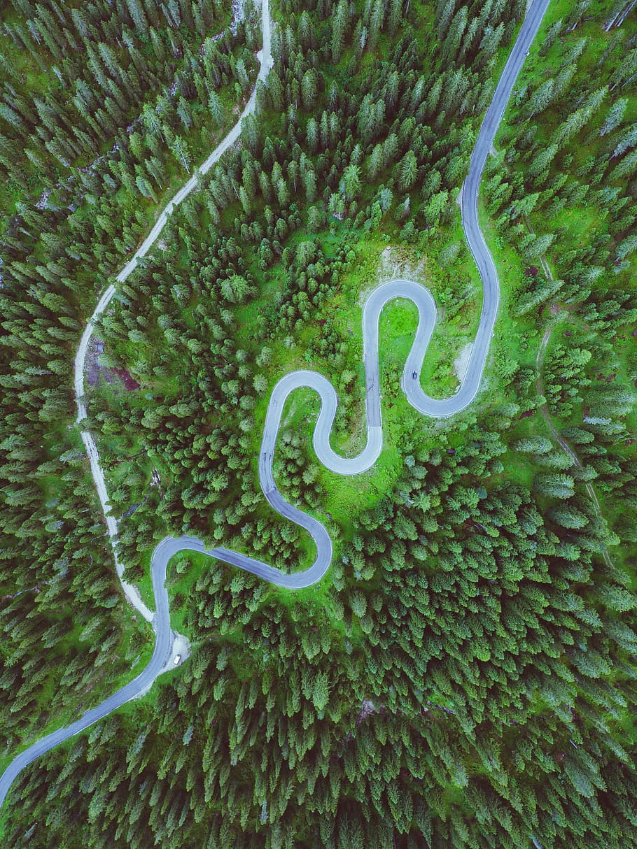 aerial photo of road surrounded by trees, forest, green, topdown HD wallpaper