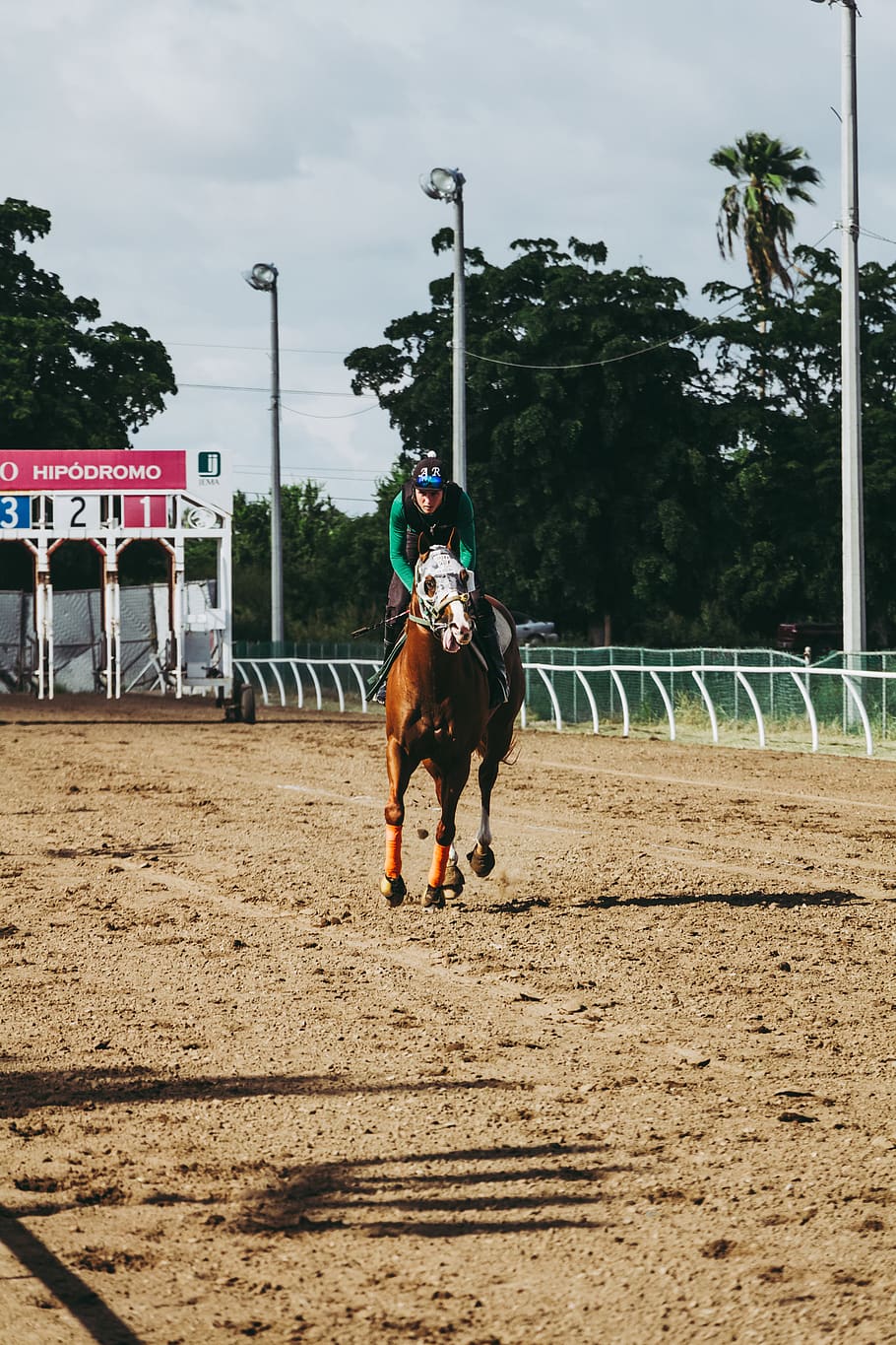 Person Riding on Horse, action, athlete, competition, course HD wallpaper