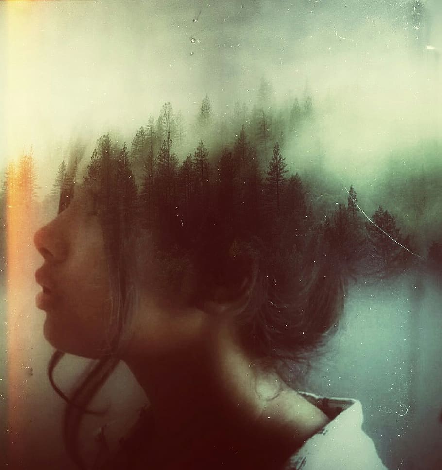 manipulation, photography, visual art, trees, pines, teal, green HD wallpaper