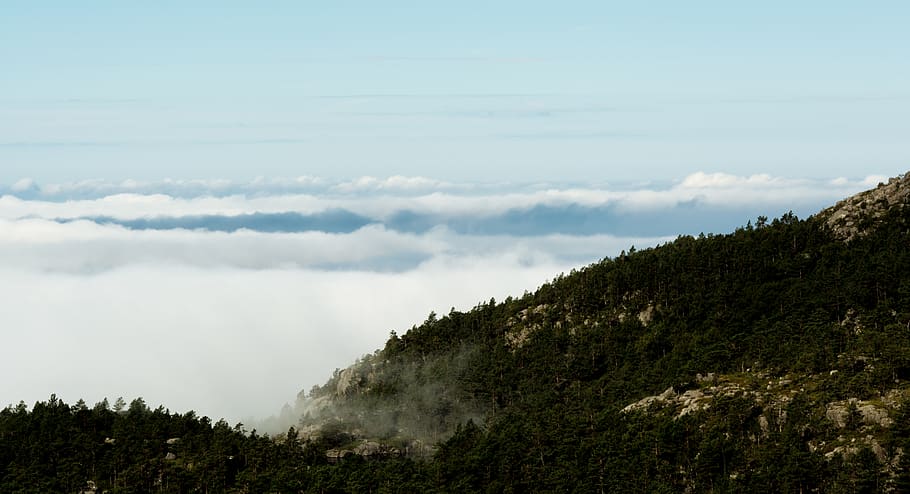 forest, mountain, mist, clouds, lake, sky, tree, plant, scenics - nature HD wallpaper