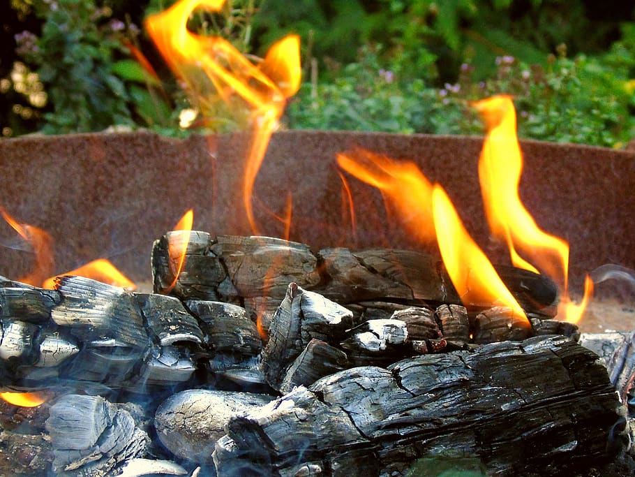 campfire, flame, cozy, heat, burn, wood, summer, fun, firewood HD wallpaper