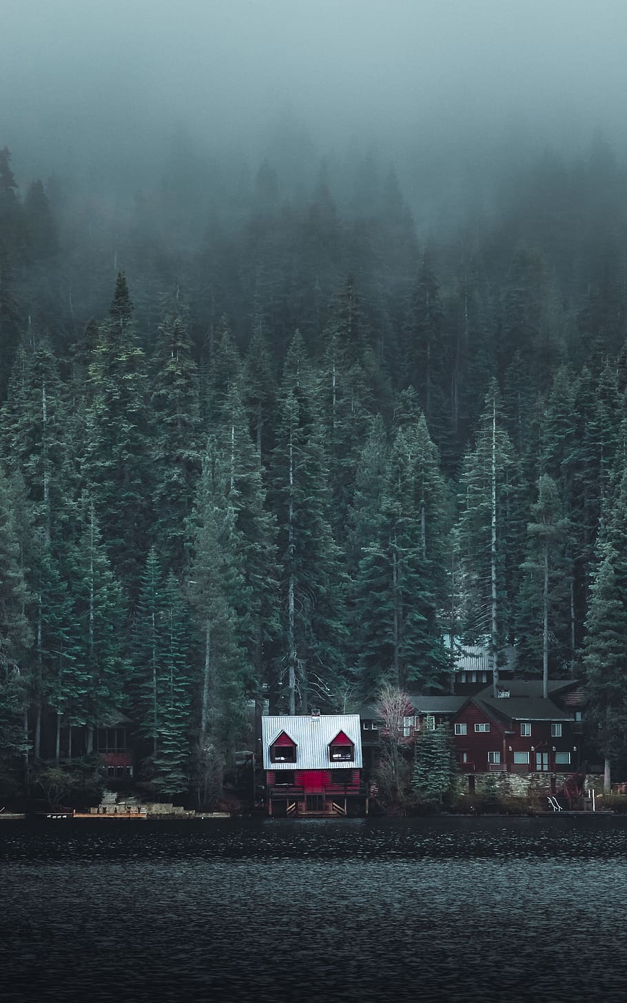 White and Red Wooden Cabin Near Forest, cold, conifers, daylight HD wallpaper