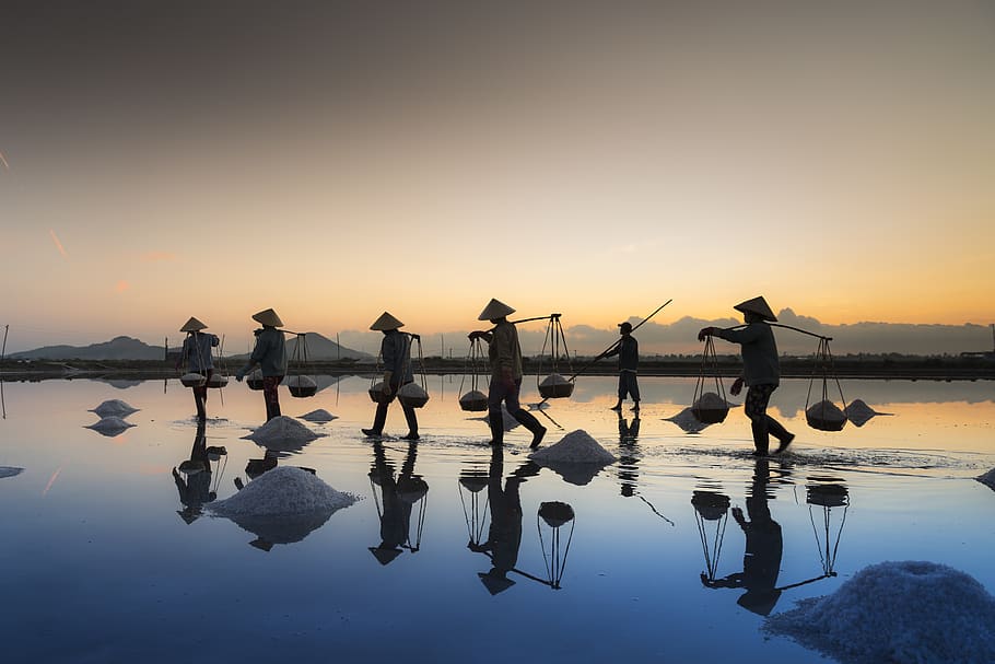 Five Men Walking in Line Carrying Baskets during Golden Hour HD wallpaper