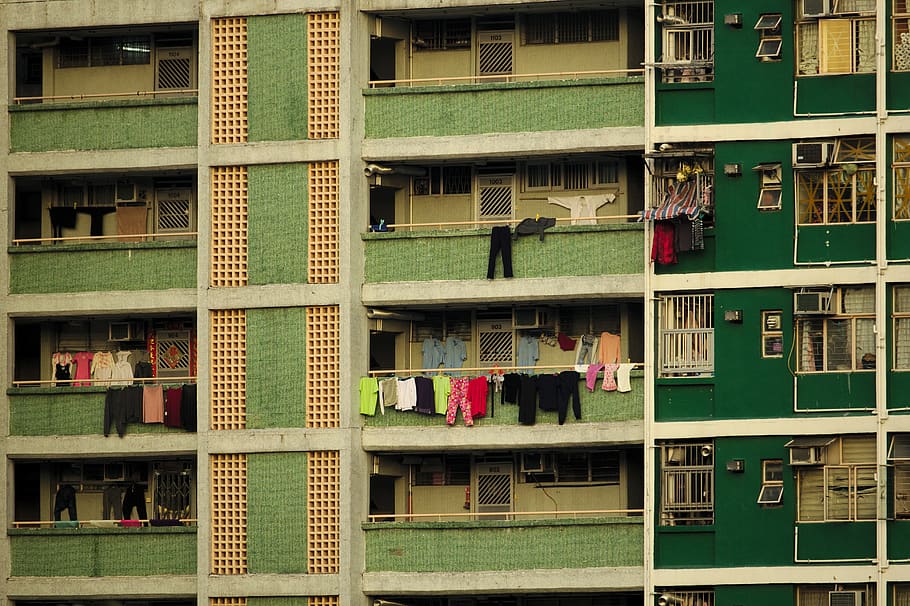 green concrete building, urban, laundry, shelf, bookshelf, publication HD wallpaper