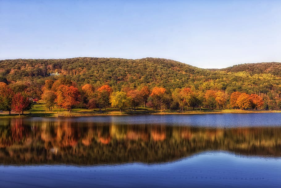 Photo of River Beside Trees Near Mountain Ranges, forest, landscape HD wallpaper
