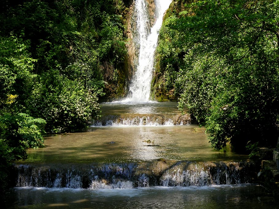 wild, nature, flow, water, running, river, fall, jungle, forest HD wallpaper