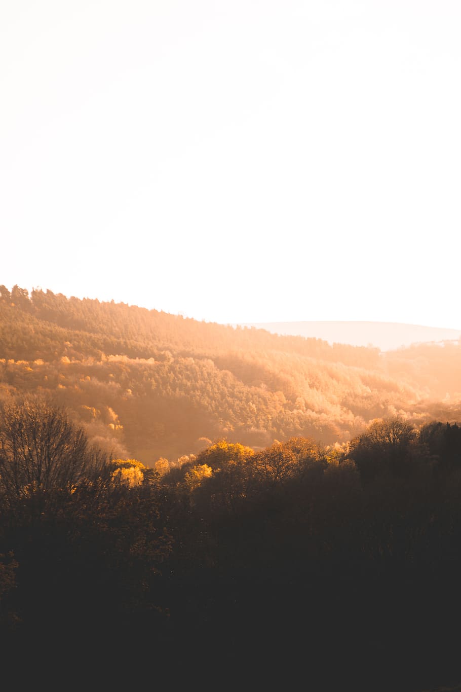 brown field, nature, outdoors, countryside, hill, pontypool, wales HD wallpaper