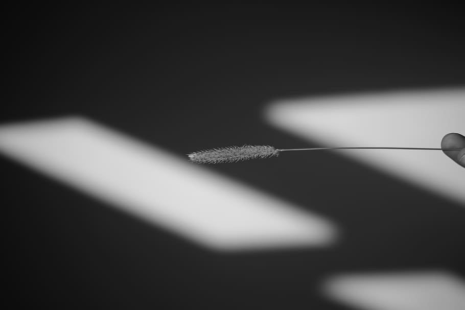 shadow, indoors, no people, studio shot, close-up, golf club HD wallpaper