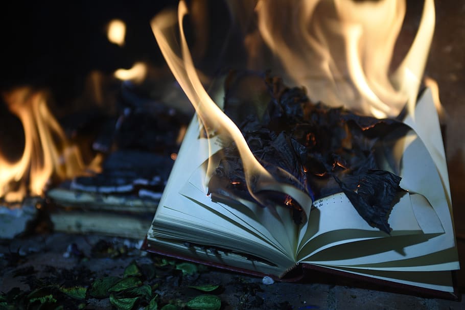 Burning Book Page, burnt, fire, flames, heat, hot, fire - natural phenomenon HD wallpaper