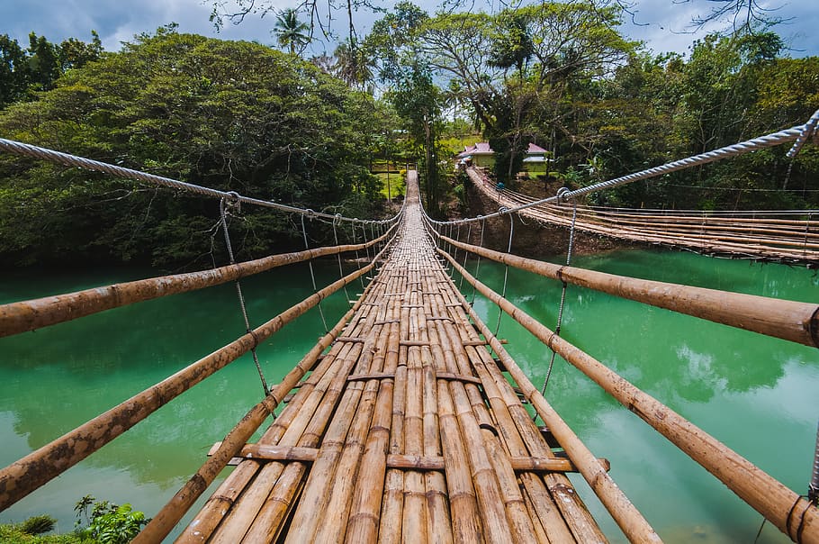 HD wallpaper: philippines, bohol, bridge, bamboo, tree, water, plant ...