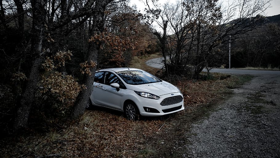 france, authon, road, car, ford, fiesta, nature, forest, wild