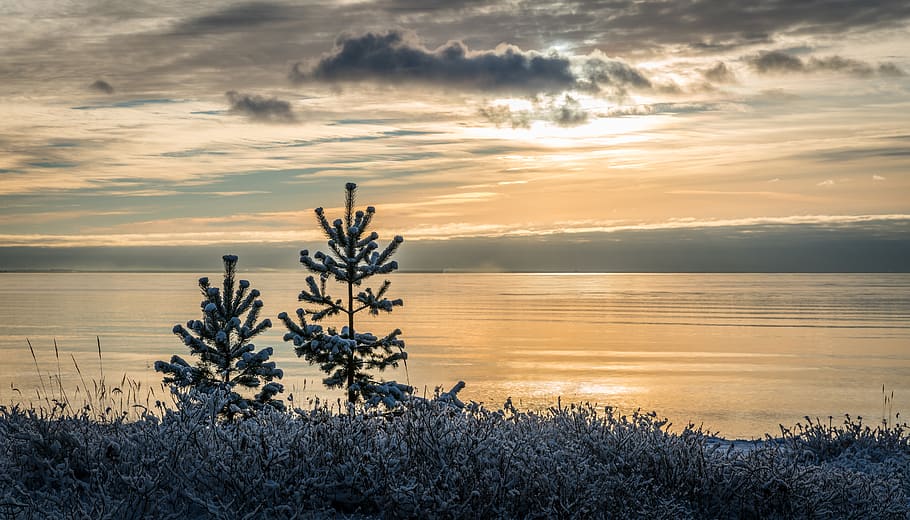 Lake View during Sunset Photo, beach, clouds, dawn, evening, grass HD wallpaper
