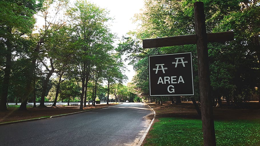 united states, hackensack, tree, plant, text, sign, communication HD wallpaper