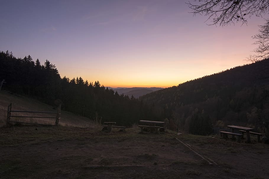 trees, moutains, sunset, bench, forest, sky, beauty in nature HD wallpaper