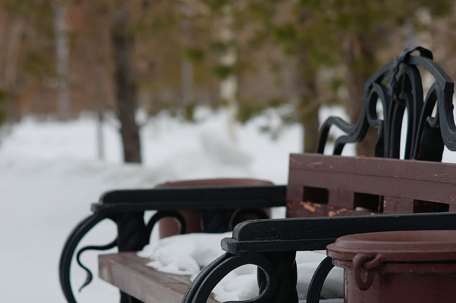 winter, bench, snow, park, focus on foreground, seat, absence HD wallpaper