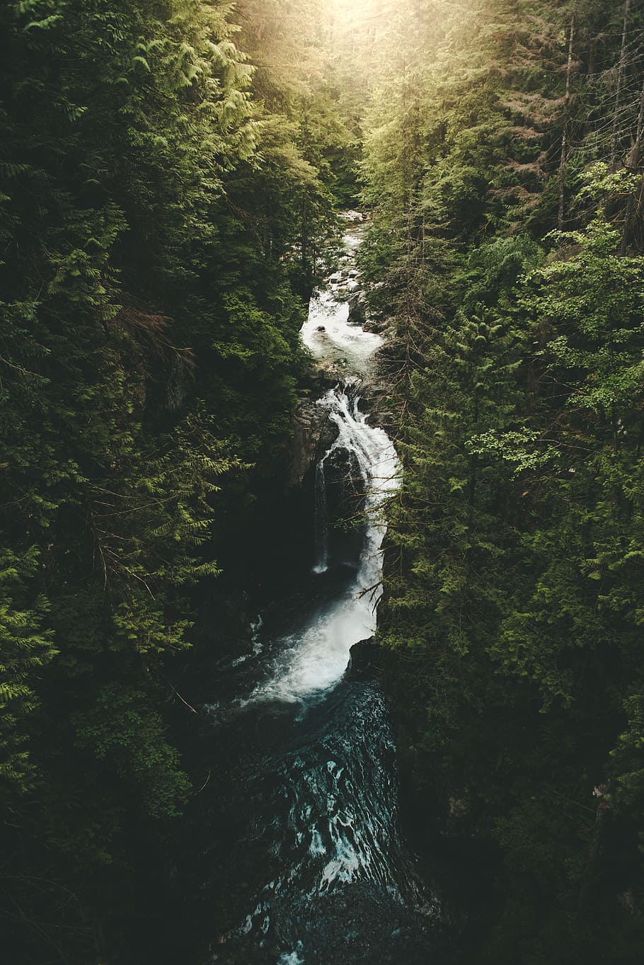 river surrounded by trees, water, waterfall, sunset, sunrise HD wallpaper