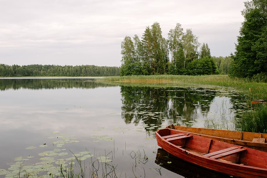 Boat on a lake, calm, eco, ecology, environment, forest, green HD wallpaper