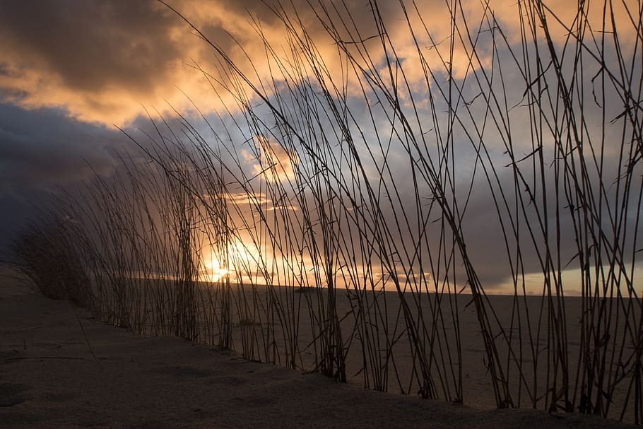sunset, nature, outdoor, horizontal, sky, cloud - sky, beauty in nature HD wallpaper