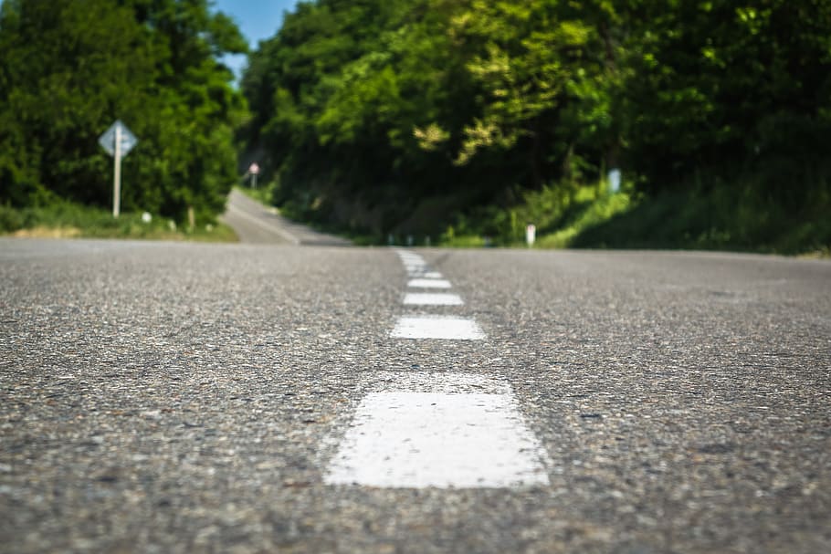 road, perspective, forest, bokeh, background, wallpaper, macro HD wallpaper