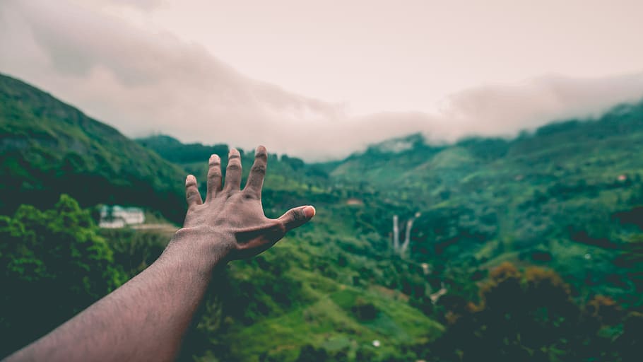 nature, love, trees, forest, waterfall, human hand, human body part HD wallpaper