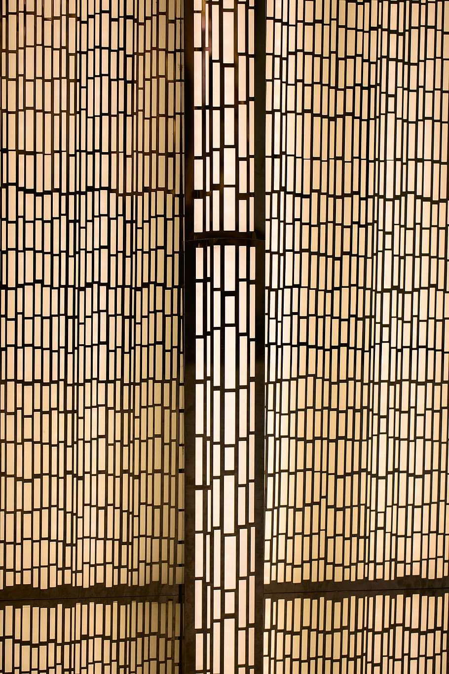 plant, bamboo, gate, texture, floor, wall, pattern, home decor HD wallpaper