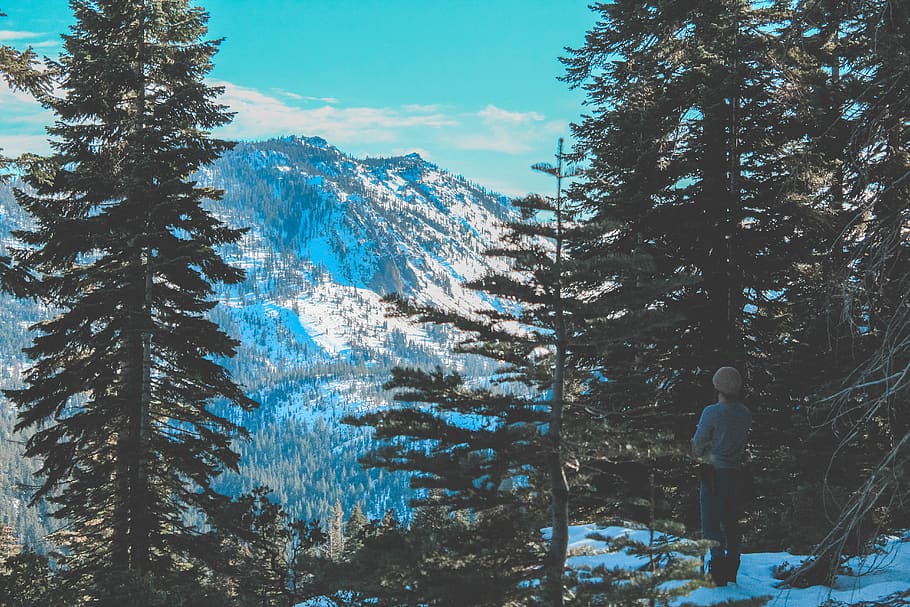 trees, adventure, hiker, mountains, snowing, snow hiking, quincy HD wallpaper