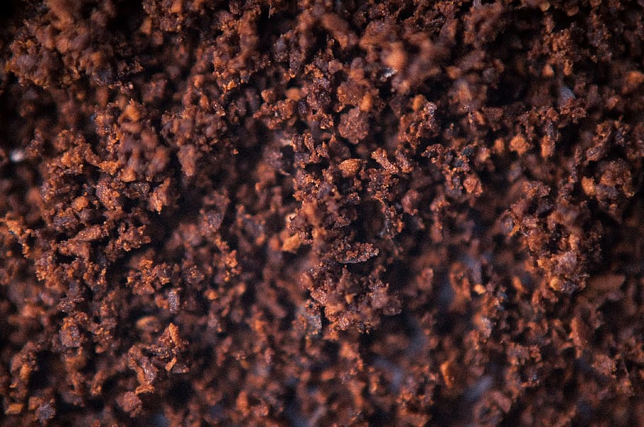 rock, soil, texture, animal, invertebrate, insect, coffee, grounded HD wallpaper