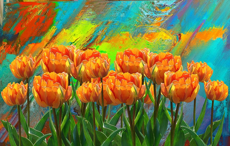 tulips, spring, flower, nature, spring flower, colorful, orange HD wallpaper