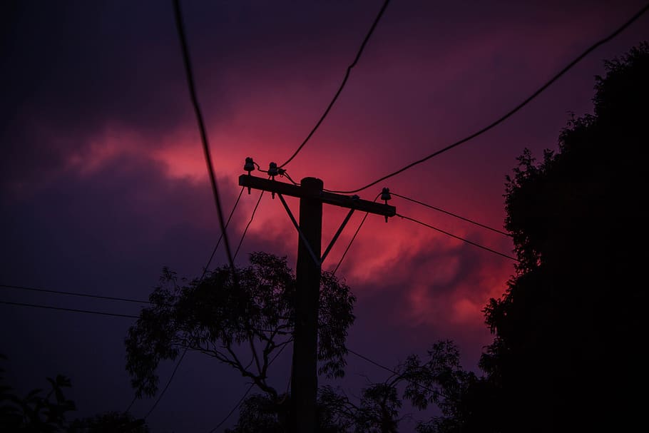sky, tree, silhouette, cloud - sky, plant, low angle view, cable HD wallpaper