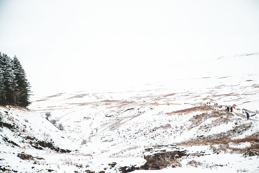 snow covered ground during daytime, outdoors, winter, mountain HD wallpaper