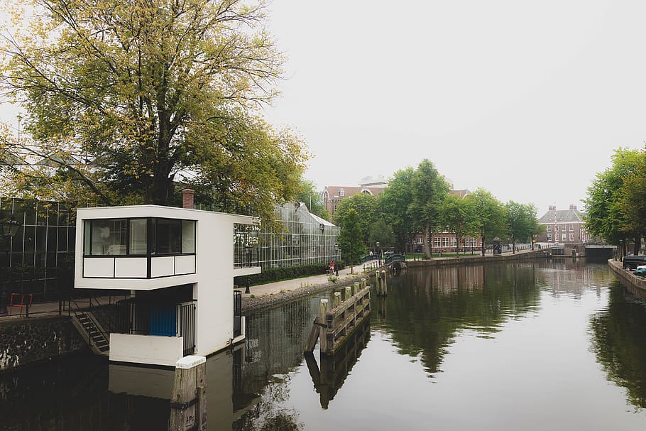 netherlands, amsterdam, water, tree, plant, reflection, built structure HD wallpaper