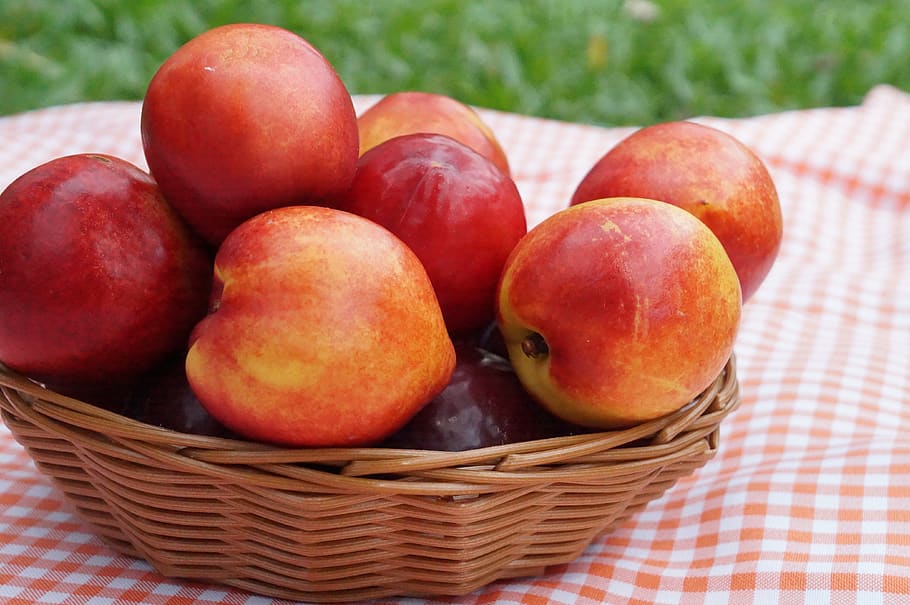 summer, nectarine, fruit, healthy, vitamin, tasty, juicy, peach HD wallpaper
