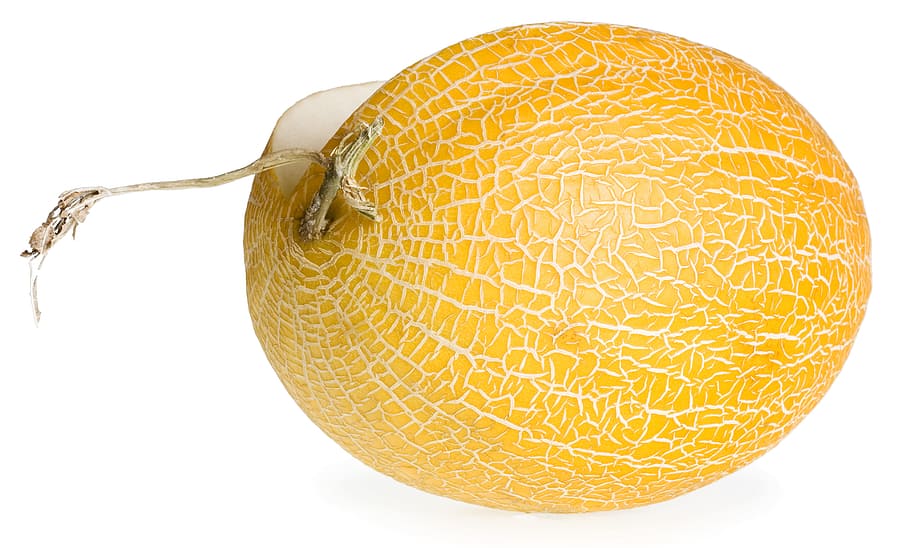 melon, close-up, closeup, diet, dieting, eating, food, fresh HD wallpaper