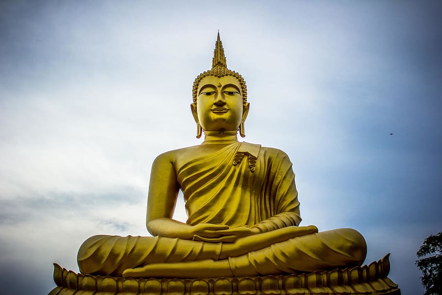 Photo of Golden Gautama Buddha, art, asia, Asian, background, HD wallpaper