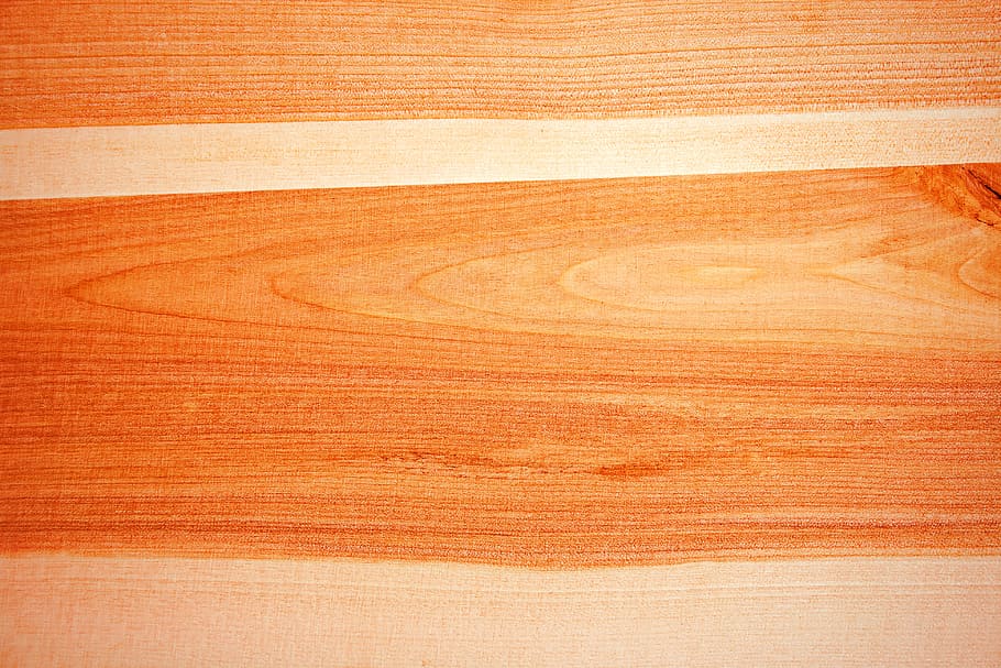background, wood, tree, texture, wood - material, backgrounds HD wallpaper