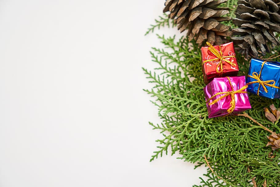 Three Assorted-color Present Boxes on Green Leaves, bow, celebration HD wallpaper